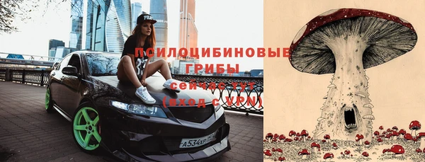 круглые Каменка