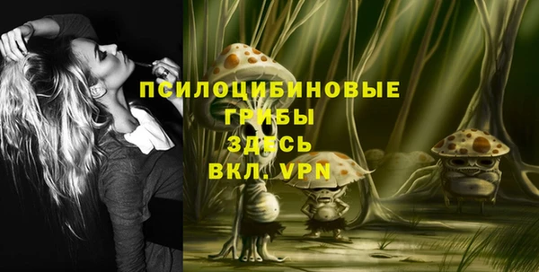 круглые Каменногорск
