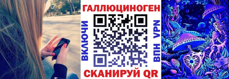 наркотики  Медногорск  Псилоцибиновые грибы Psilocybine cubensis 